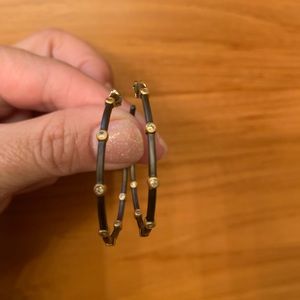 Frida Rothman Hoop Earrings